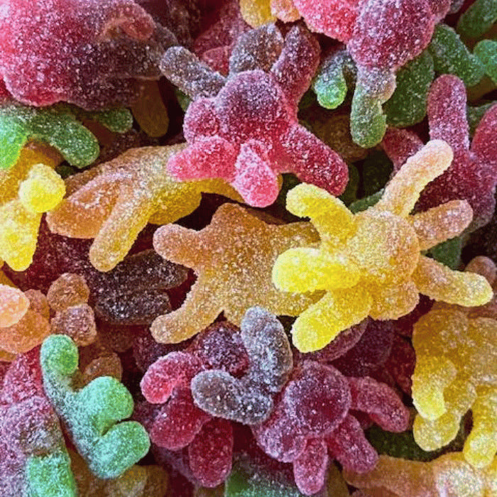 Araignées Sucrées - Ptilo