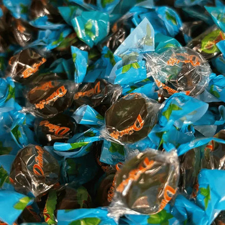 Bonbons mous saveur menthe - Bonbons sans sucre (100g) - Dietorelle