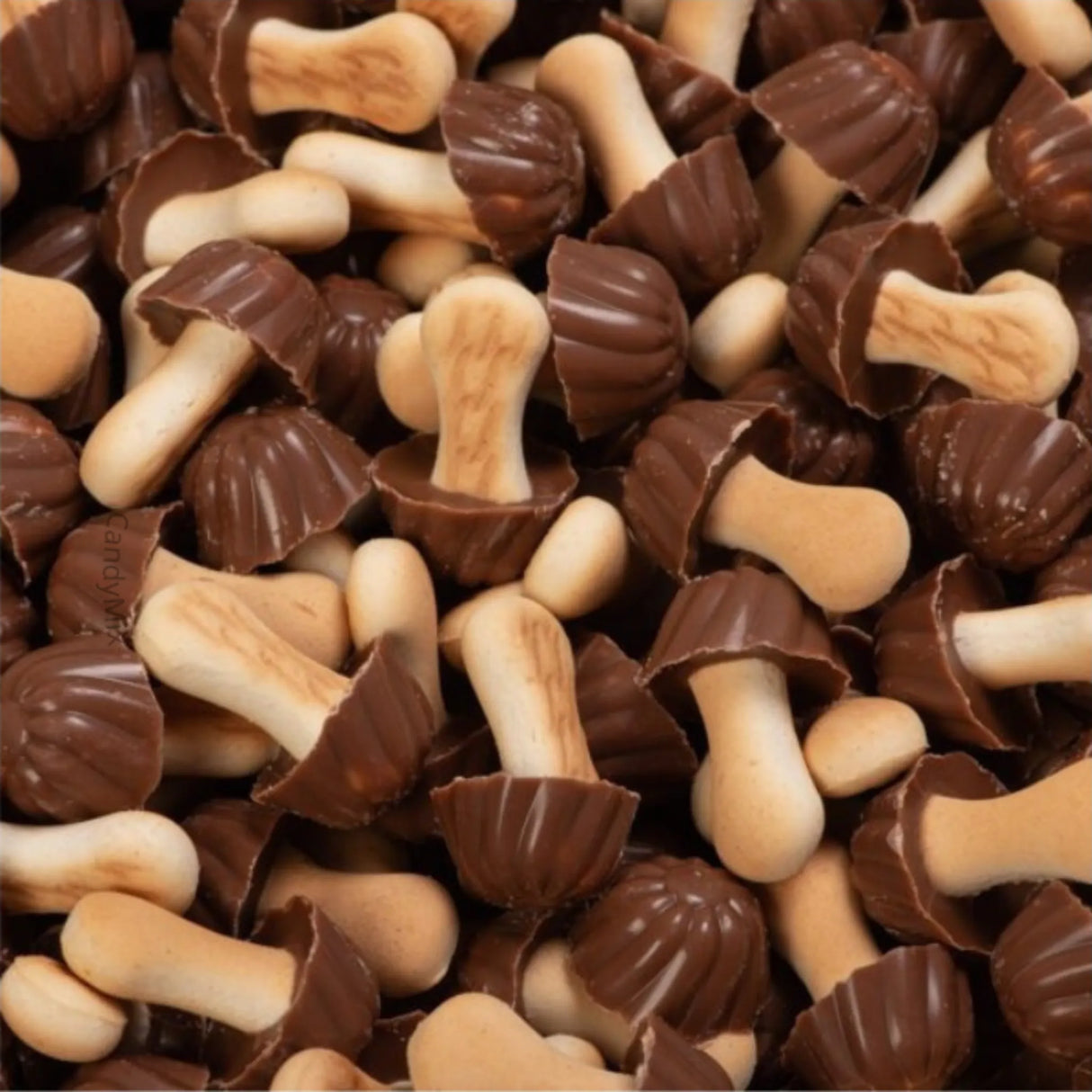 🍫 Hongos Lozano Pistacho
