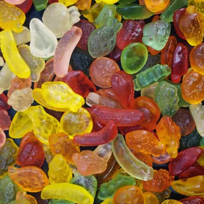 🌟 Fruitgum - Camisijos libres de azúcar (100 g) - Debron