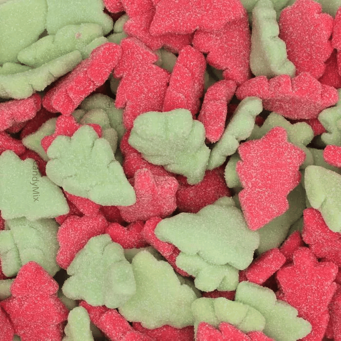 Christmas Tree - Kingsway