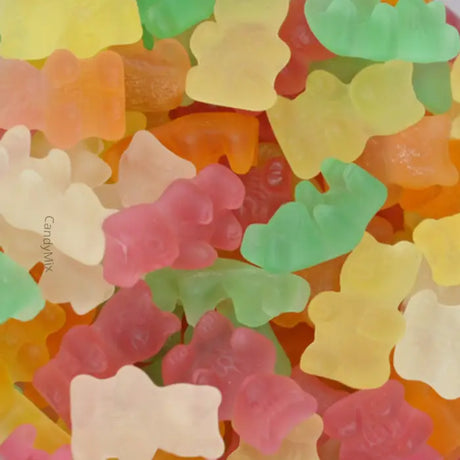 Oursons - Bonbons sans sucre (100g) - Joris