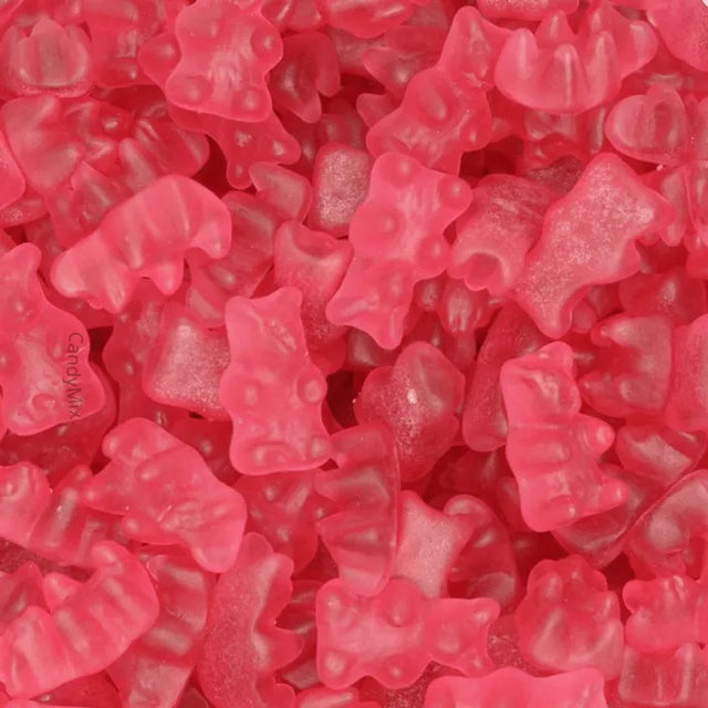 Oursons Rouge (100g) - Joris