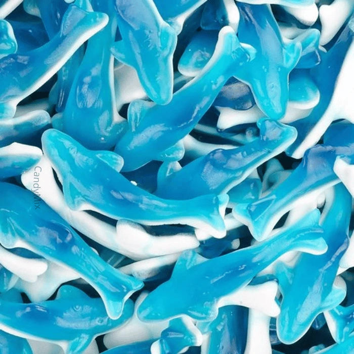 Bonbon Requin