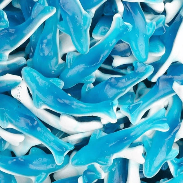 Bonbon Requin