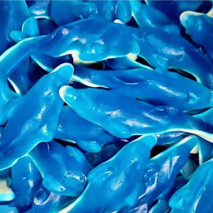 Dauphins Géants - Damel (100g)