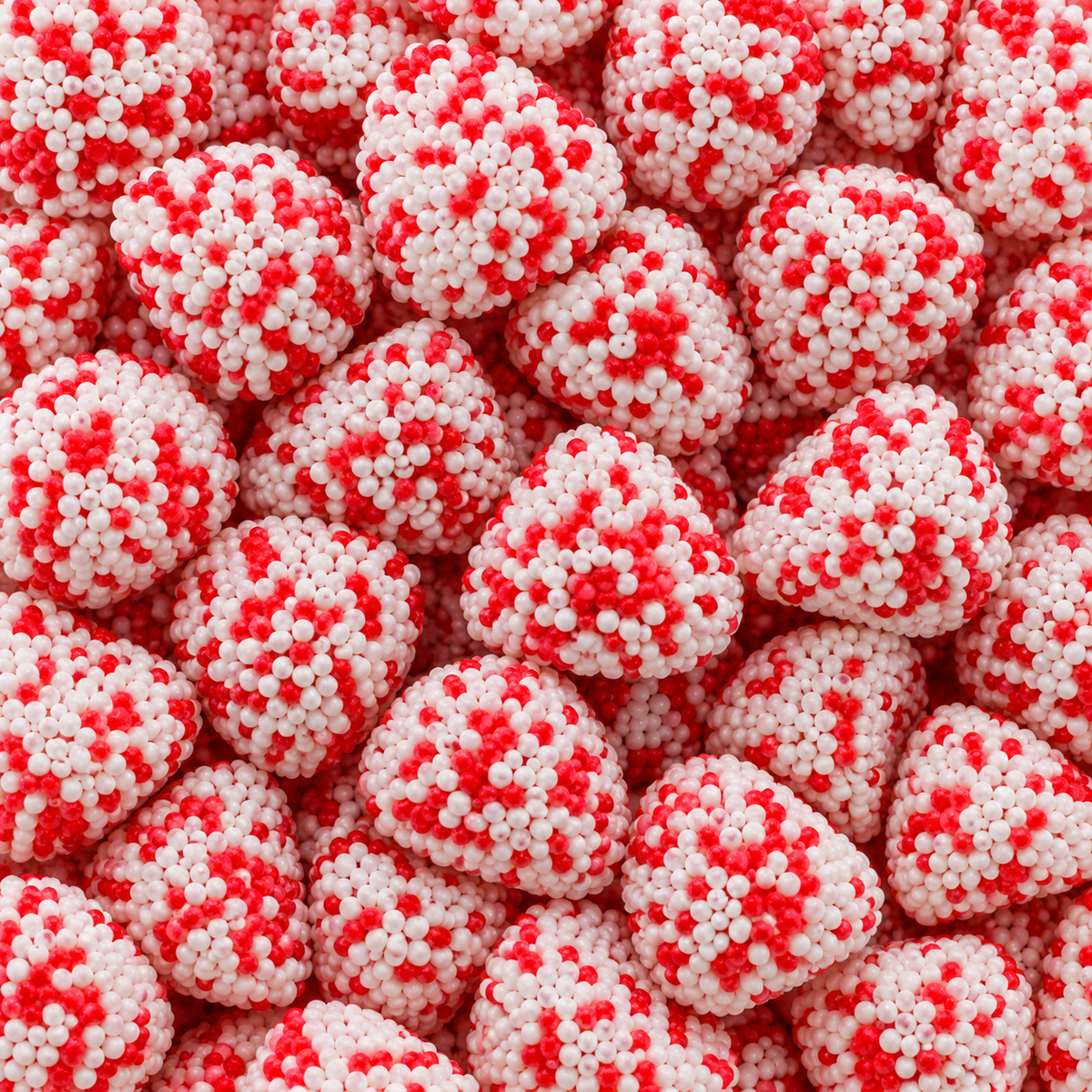 Mûre Perlée Fraise Crème - D'sito