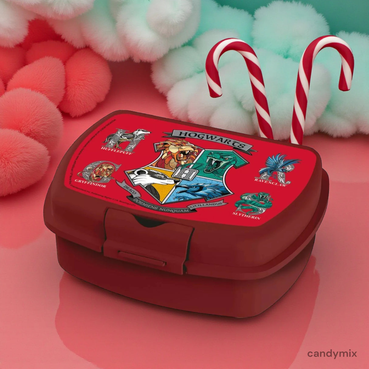 Boite à Gouter Harry Potter