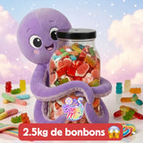 Live-Süßigkeitenschachtel 2,5 kg