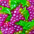 Grappe de raisin XL - Damel