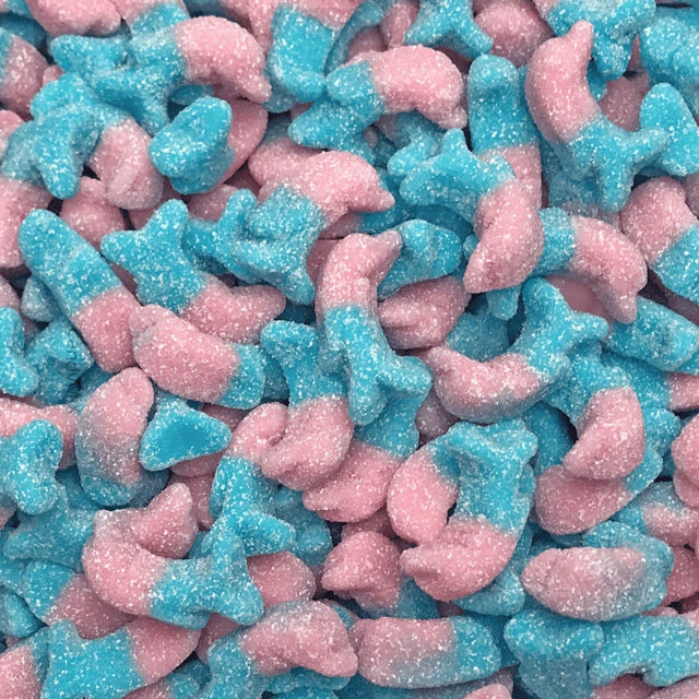 Dauphins Bubblegum