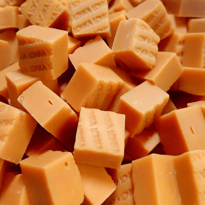 Fudge Caramel Salé