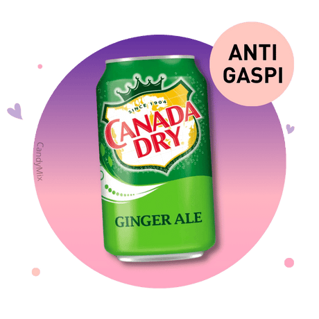 Canada Dry Ginger Ale - Anti Gaspi (DDM dépassée)