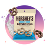 Hershey's Cookies'N'Creme Pretzels
