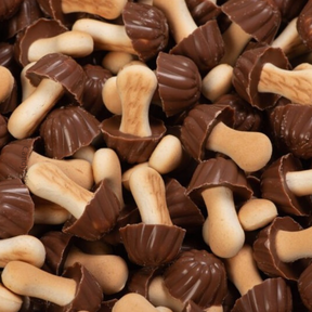 🍫 Lozano Champignons au chocolat