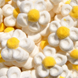 image marshmallow fleurs blanches