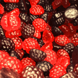 P'tites Berries (100g) - Lutti
