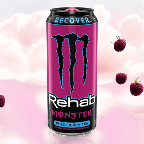 Monster Recover Wild Berry