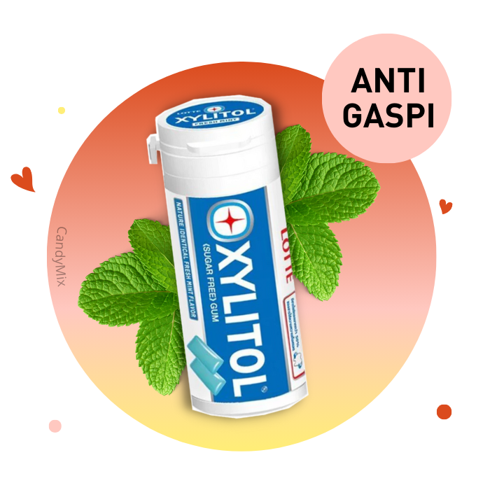 Lotte Xylitol Fresh Mint - Anti Gaspi (DDM dépassée)