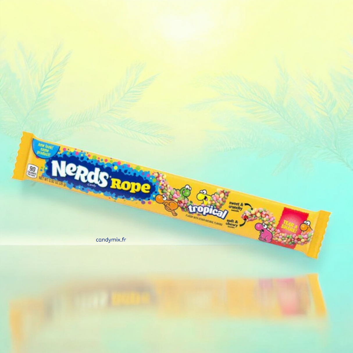 bonbons américain nerd rope tropical