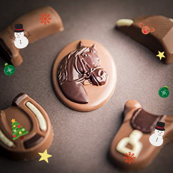 Coffret Cadeau Equitation